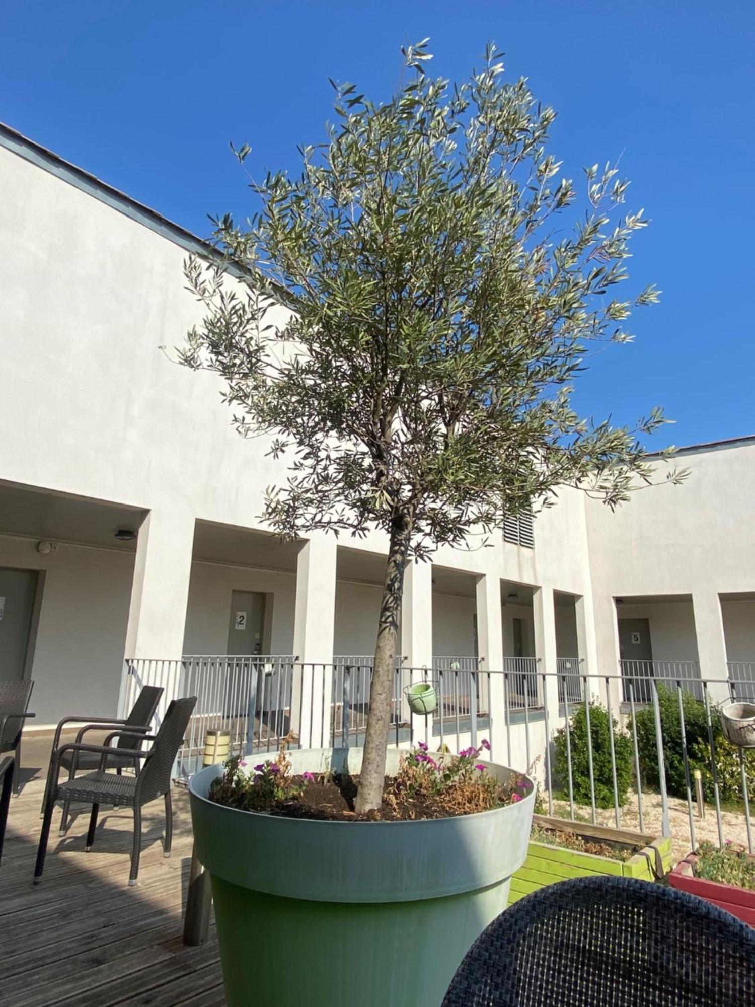 Hotel Douce France Cuxac-dʼAude Esterno foto